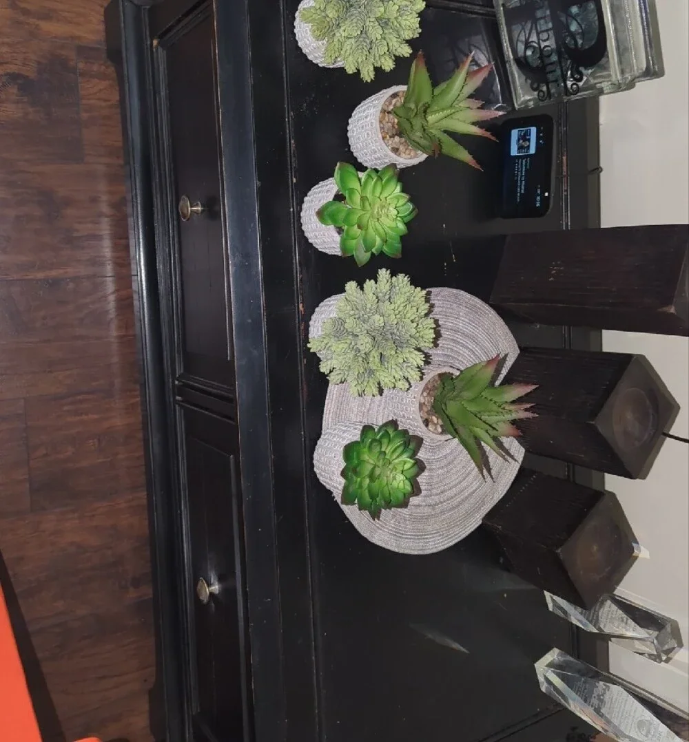 Artificial Succulent 2 Trio Sets (6 Total) in White Ceramic Pots - Home Accents
